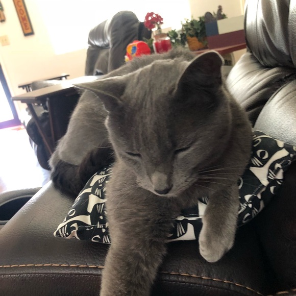 Meet your Posher, Joleen - Picture 1 of 1